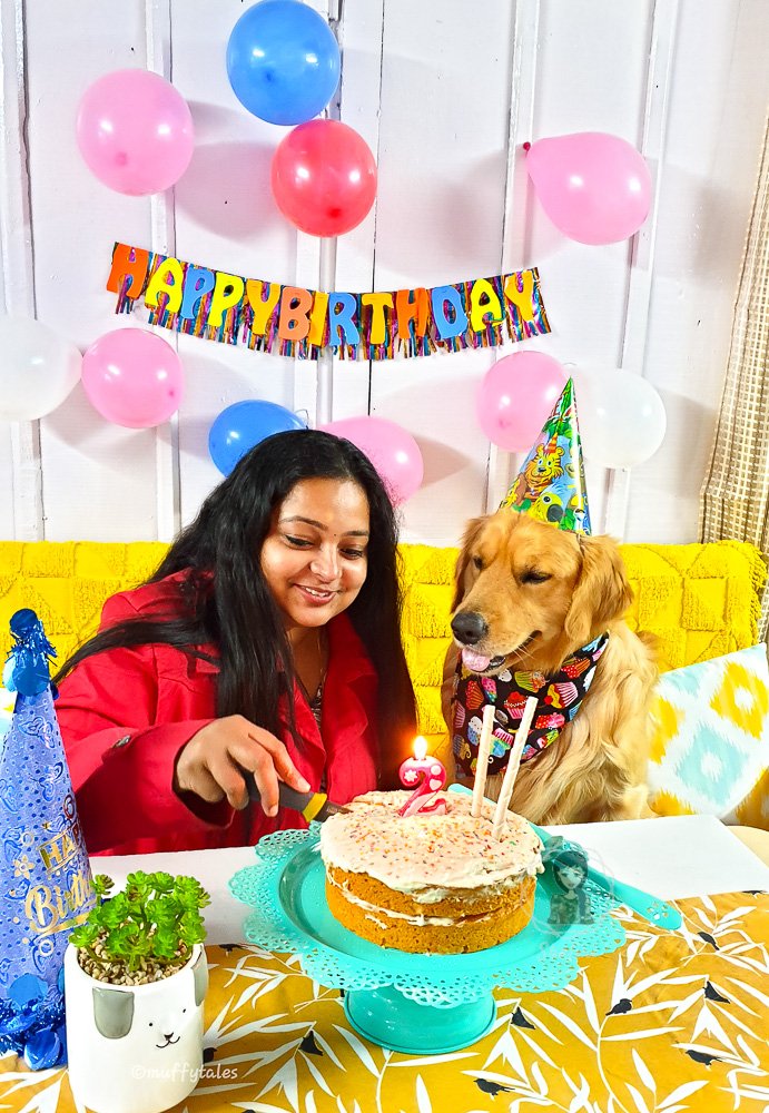 Dog Birthday Cake With Peanut Butter And Carrot And Easy Frosting