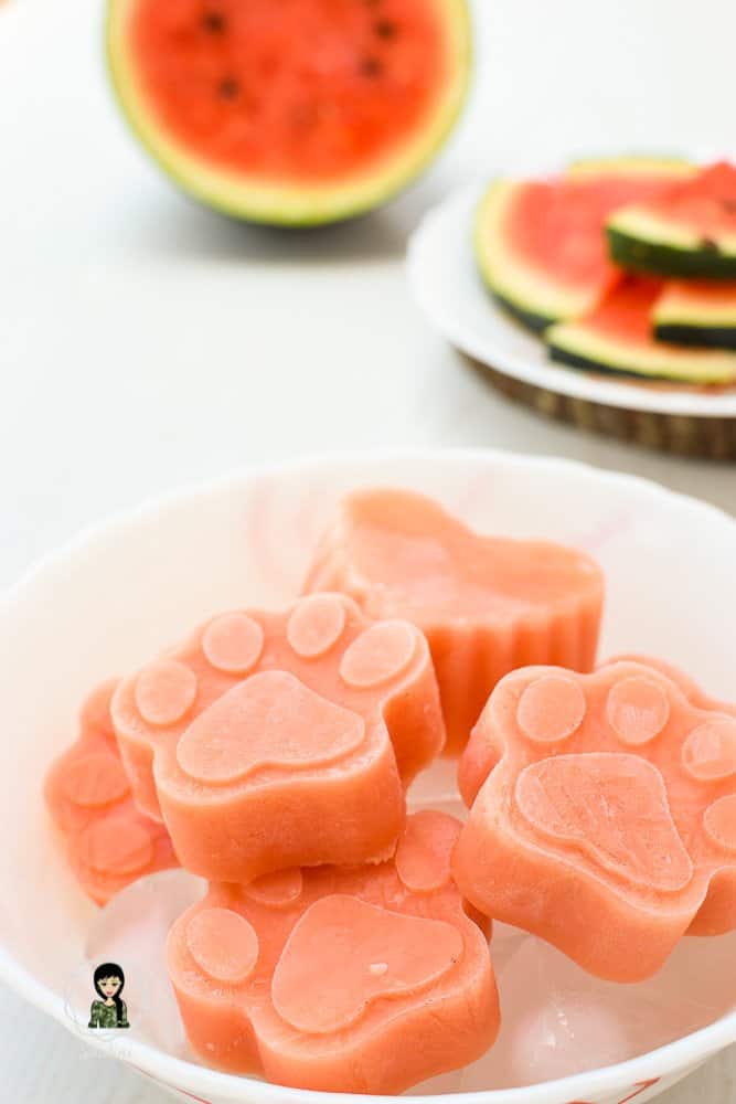 Watermelon Dog Treat Popsicles - Barefeet in the Kitchen